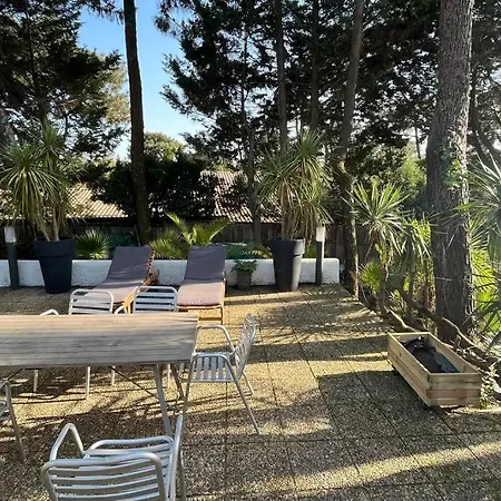 Charmante Au Coeur Du Cap Ferret Villa *